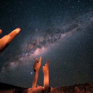 Sahabas6